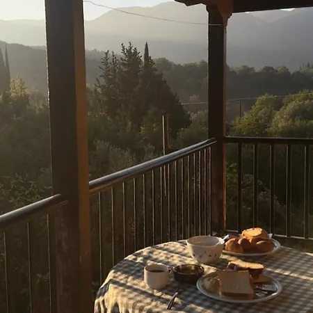 Allotino - Café&snacks Hotel *